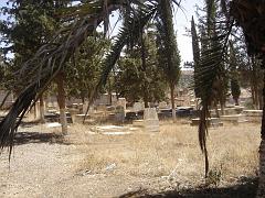 CIMETIERE SEPTEMBRE 2006 SAIDA COTE ISRAELITE 01